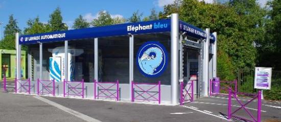 franchise elephant bleu