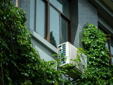 Canicule et fortes chaleurs : 7 idées de business à lancer en franchise