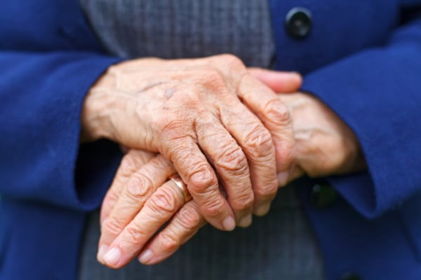 Franchise Petits-fils : entreprendre pour le maintien à domicile et contre la solitude des seniors