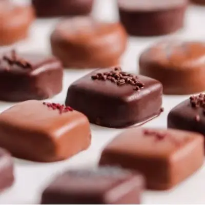 Franchise Yves Thuriès - Chocolatier récoltant