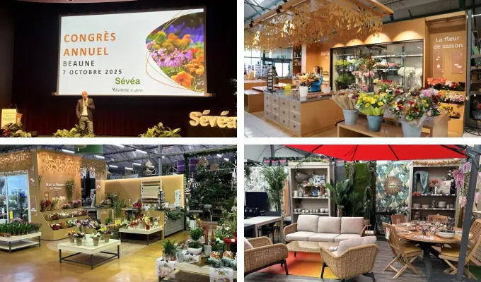 Illustrations Franchise VillaVerde