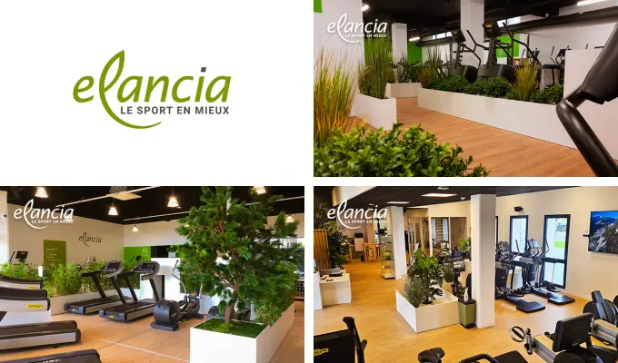 Illustrations Franchise Elancia