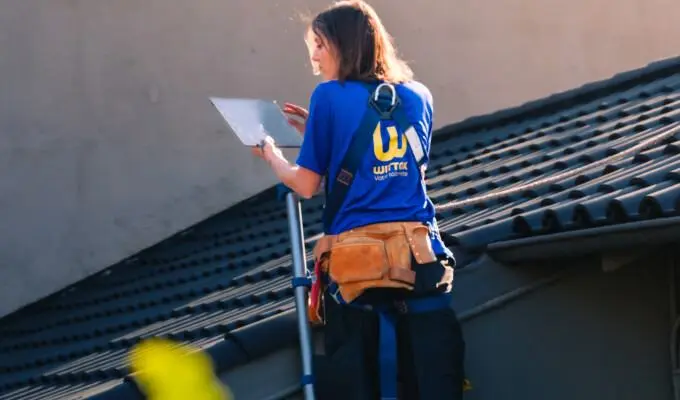 Illustrations Franchise WITTOX