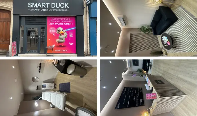 Illustrations Franchise SMART DUCK