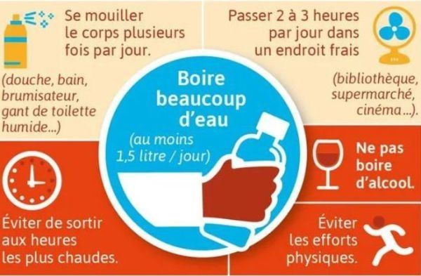 Canicule dévastatrice en France : adaptez vos comportements et optez pour CosmétiCar