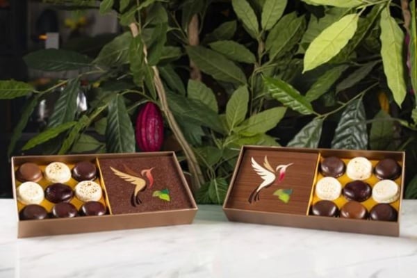 Yves Thuriès - Chocolatier récoltant : une opportunité entrepreneuriale à saisir au printemps 2026