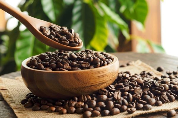 Le café d’exception au cœur du concept ego