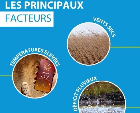 Urgence sécheresse : DetailCar offre des solutions écologiques pour économiser l'eau