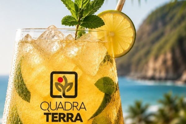Quadra Terra : l’été, une période propice pour préparer son projet entrepreneurial