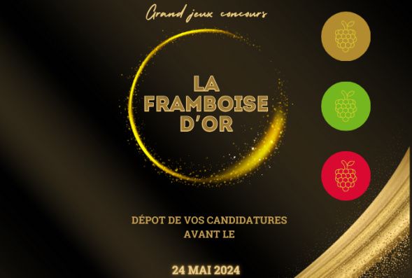 Framboise Consulting réinvente la franchise avec son concours « La Framboise d'Or 2024 »