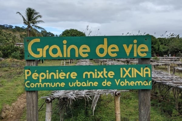 Ixina intensifie ses efforts vers un avenir plus vert avec Graine de Vie