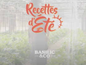 Courgettes de Provence - Recettes été Basilic & Co 2025 - 