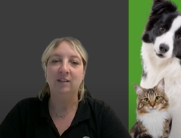 Interview de Marie Faustin, franchisée DO&KA - 
