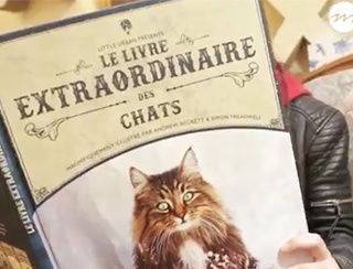 Mon Chat Pitre, la toute première librairie avec des chats en France - 