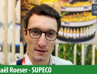 "Supeco fait partie des enseignes les moins chères sur son marché" - 