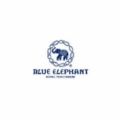 fiche enseigne Franchise Blue Elephant - 