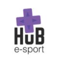 fiche enseigne Franchise HuB Esport - 