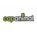 Franchise Cap Animal