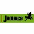 fiche enseigne Franchise Jamaica Happy Pub - 