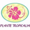 Franchise Jardinerie Plante Tropicalia