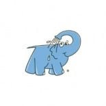 Franchise Eléphant Bleu