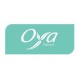 Franchise Oya Fleurs