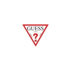 Franchise Guess