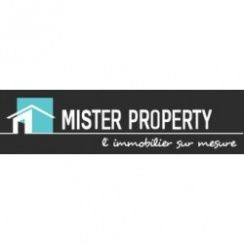 Franchise Mister Property