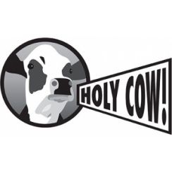 Franchise Holy Cow! Gourmet Burger Company
