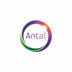 Franchise Antal International Network
