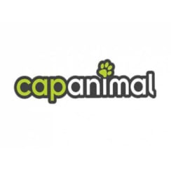 Franchise Cap Animal