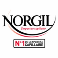 Franchise Norgil