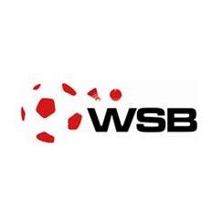Franchise WSB srl
