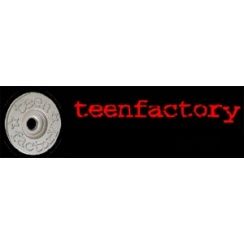 Franchise Teen Factory