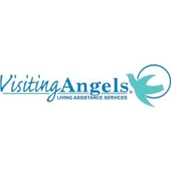 Franchise Visiting Angels