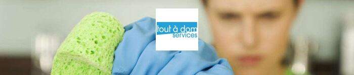 Franchise Tout à Dom Services