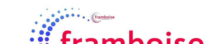 Franchise Framboise Consulting
