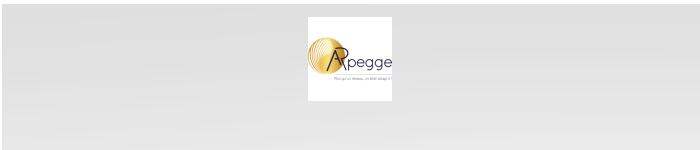 Arpegge est une organisation spécialisée dans le réseautage professionnel, les recommandations d'affaires et la montée en compétences des Entrepreneurs