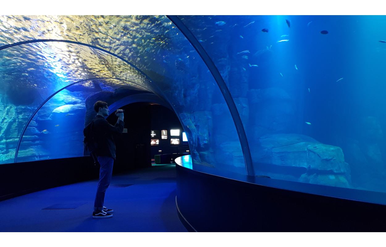 Nausicaa Centre National De La Mer évènements à Venir